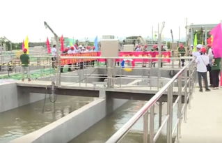 坚实一步 全区三大污水处理厂及管网二期工程通水试运行，擘画绿色未来新篇章